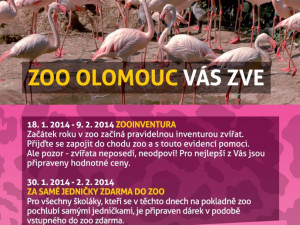 Olomoucká zoo slaví úspěchy s narozením mláďat, návštěvnost mírně klesla