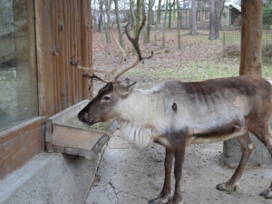 zoo4