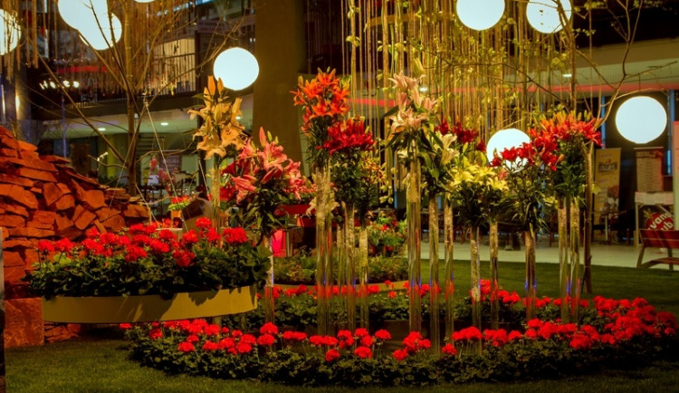 Jarní Flora se povedla. Přitáhla přes 75 tisíc návštěvníků