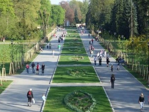 Ožijí olomoucké městské parky? Univerzita spouští projekt Zaparkuj