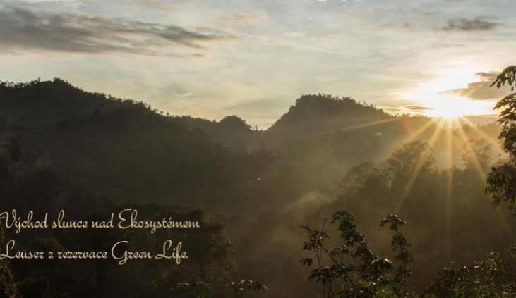 Češi zakoupili na Sumatře kus pralesa, kvůli ochraně přírody