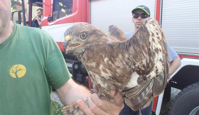 Hasiči v Olomouckém kraji mají více výjezdů, i kvůli počasí