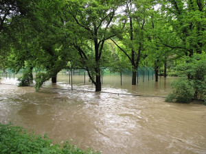 Povodí Moravy plánuje dát do protipovodňové ochrany 1,4 mld.Kč