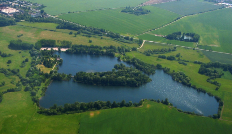 Kvůli stavu stromů uzavřou ochranáři cestu k jezerům Poděbrady