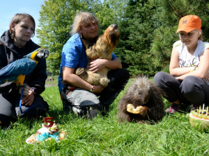 V olomoucké zoo se slavily páté narozeniny lenochoda Bohuše