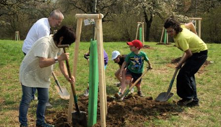 Zasadit strom a ještě pomoci druhým? V Olomouci se vysazuje nový park