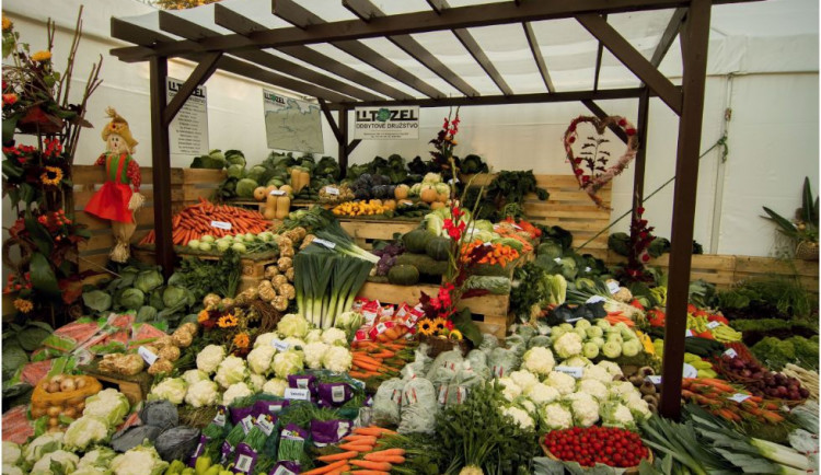 Hlavní expozice podzimní Flory Olomouc bude ve znamení her