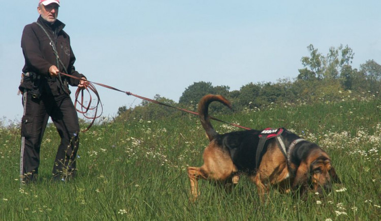 Školačky ztracené na Slovensku našel pes Cassino z Uničova
