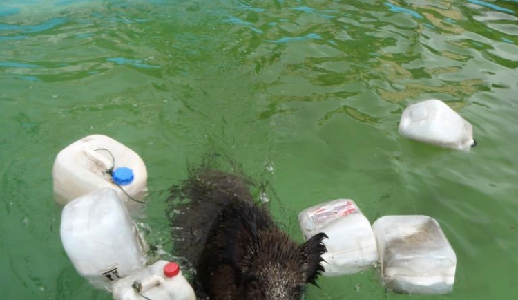 Hasičské kuriozity roku 2014