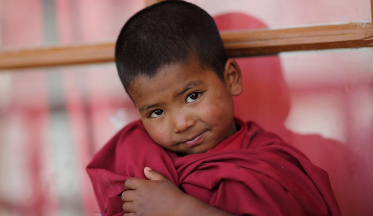 Festival ProTibet 2015 se blíží