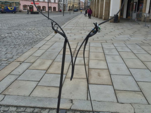 Foto: Elizabeth Žolcerová