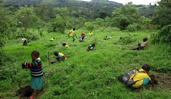 Kohoutková voda pomáhá zachraňovat prales v Kamerunu