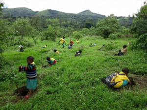 Kohoutková voda pomáhá zachraňovat prales v Kamerunu