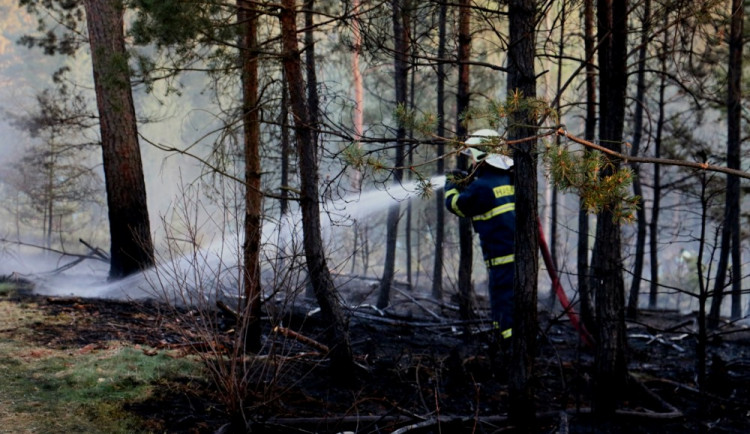 VIDEO: V Náměšti na Hané hořely hektary lesa