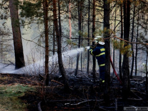 VIDEO: V Náměšti na Hané hořely hektary lesa