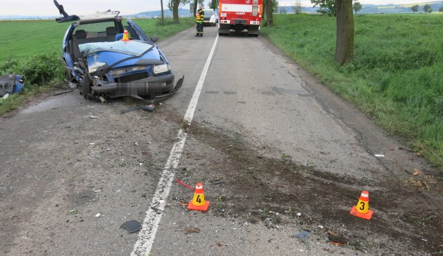 Mladá řidička narazila s autem do stromu, ona i její spolujezdec přežili