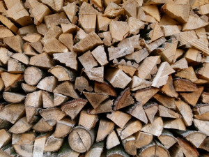 Muž ubil v Prostějově svého známého dřevěným polenem