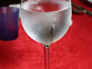 Pijte vodu v olomouckých restauracích, přispějete na pomoc Haiti