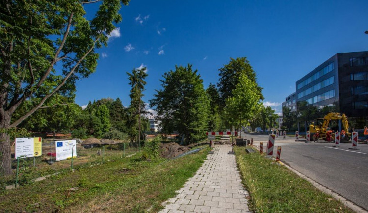 Právě opravované rozárium má být perlou Olomouce