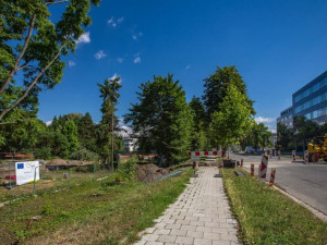 Právě opravované rozárium má být perlou Olomouce