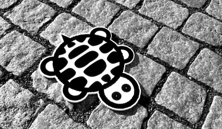 Hledejte želvu a objevujte město