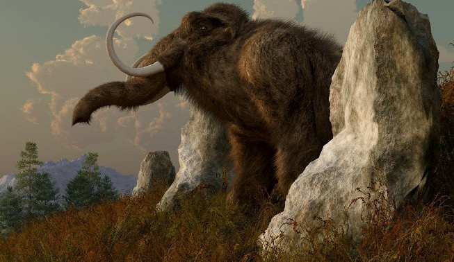 Archeologové při výzkumu v Olomouci našli malou část mamutího klu