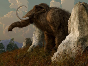 Archeologové při výzkumu v Olomouci našli malou část mamutího klu
