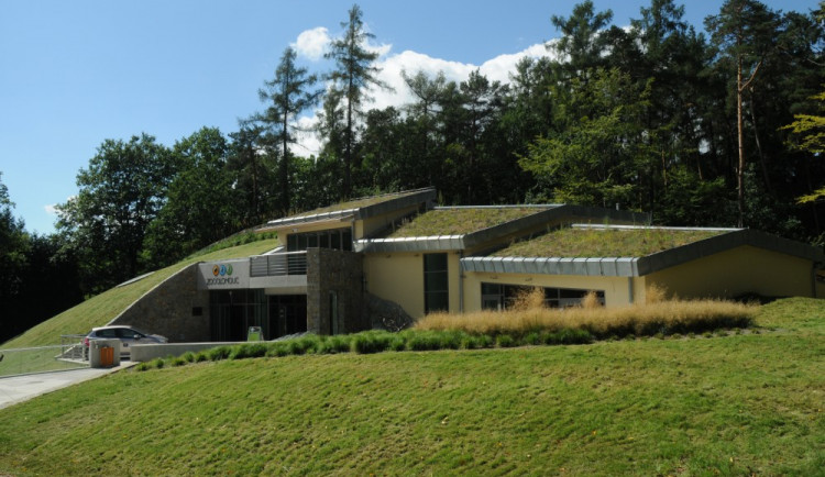 Olomoucká zoo chystá pro návštěvníky stezku v korunách stromů