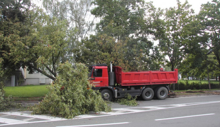 Řidič tatrovky předjížděl cyklistku, nezvládl řízení a narazil do stromu