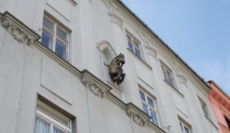 Oči vzhůru: Tajemství olomouckého černého koně