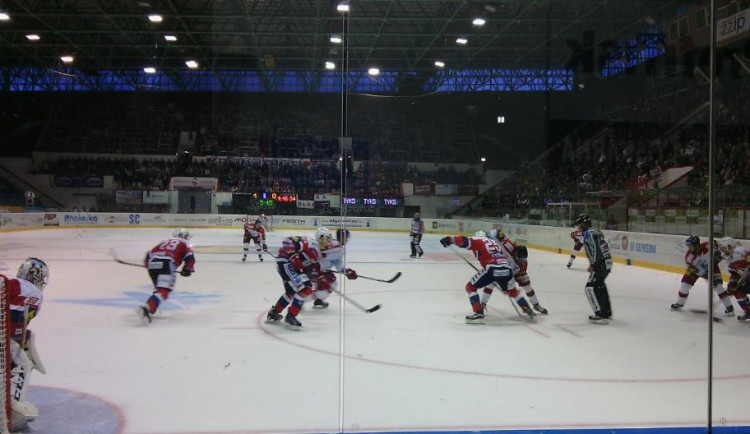 Report: Kohouti válí. Vyprodejme letos poprvé plecharénu!