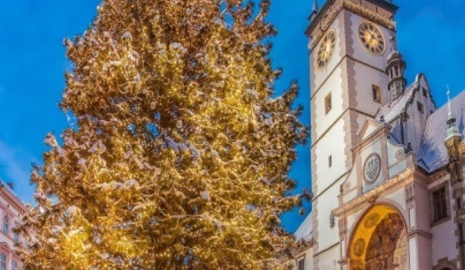 zdroj: olomouc.eu