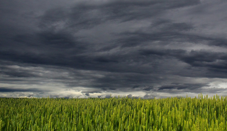 Pracovní týden bude zamračený s přeháňkami, na víkend ale vykoukne sluníčko