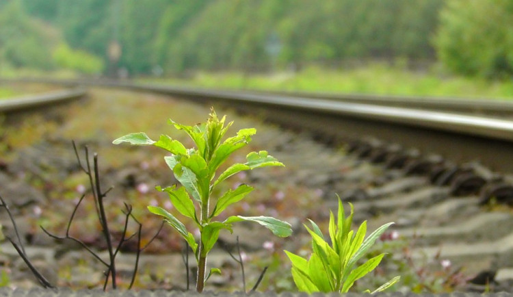 Dnes dopoledne srazil vlak na trati Olomouc - Nezamyslice muže, zraněním podlehl
