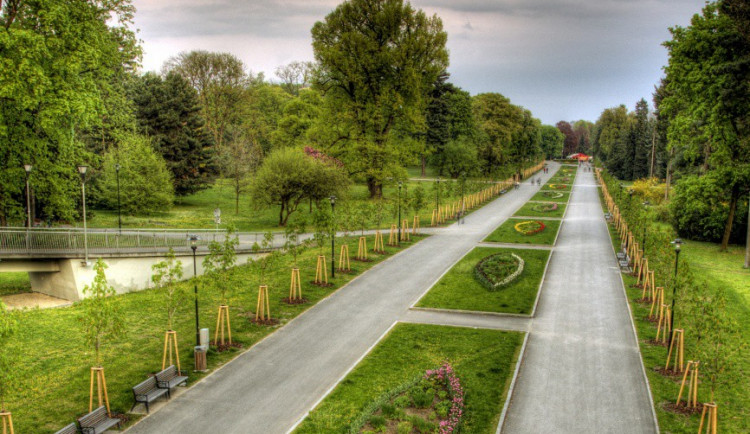 Radní vytvořili pracovní skupinu, má za úkol zachránit Rudolfovu alej ve Smetanových sadech