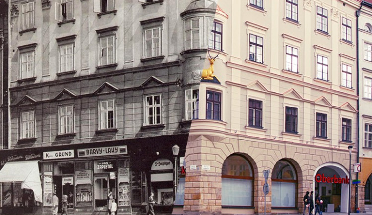 Oči vzhůru: Zlatý jelen – symbol bohatství, pod kterým každý den projdou tisíce lidí