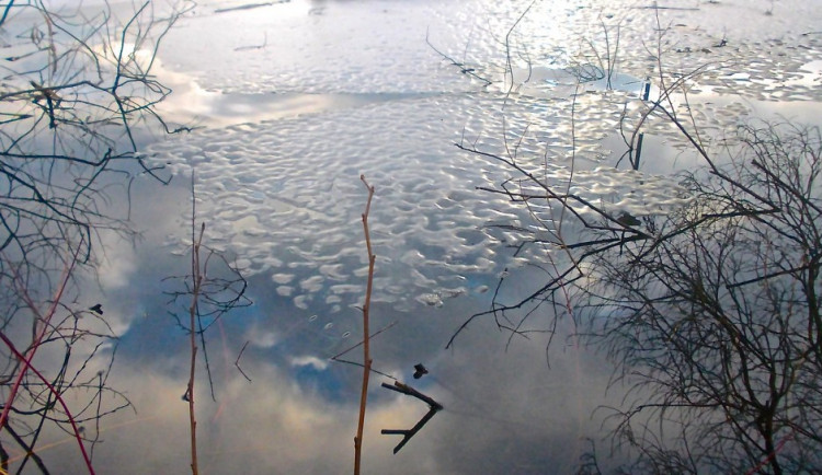 Mrazy v Česku skončí, na konci ledna a v únoru se oteplí