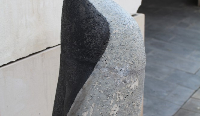 Tučňák se na chvíli vrací na Dolní náměstí. Lidé mu teď mohou najít stálé místo