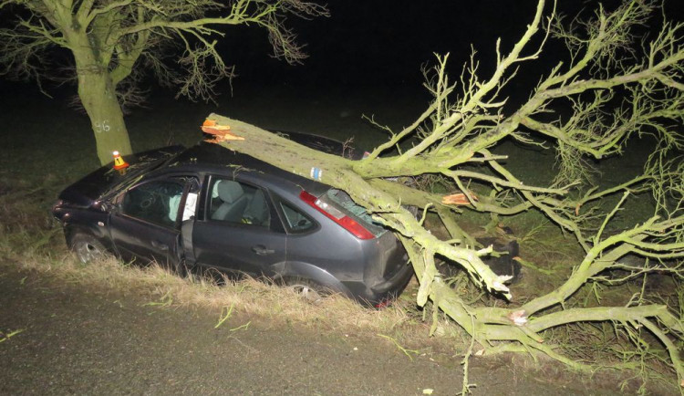 Opilý řidič nezvládl své auto, vyletěl s ním ze silnice a přerazil vzrostlý strom