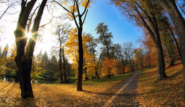 ANKETA: Jaký olomoucký park máte nejraději?