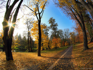 ANKETA: Jaký olomoucký park máte nejraději?