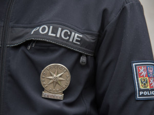Policista dnes ráno vytáhl topícího se muže z Bystřičky, záchranáři ho oživovali deset minut