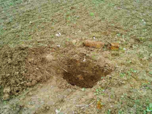 VIDEO: Na poli u Vidnavy byla nalezena nevybuchlá letecká puma