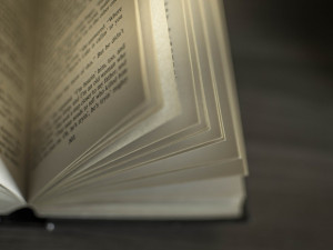 Během festivalu Noc literatury se se budou úryvky z knih číst na náměstí i v parkánových zahradách