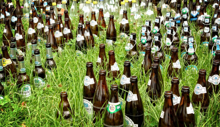 Pivo
