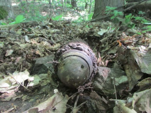 Pyrotechnici měli v neděli plno práce,  lidé našli v lesích hned dva dělostřelecké granáty