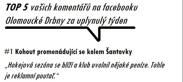 Kohout