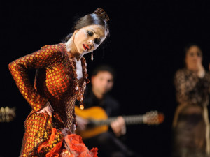 Olomouc opět rozpálí do běla španělské rytmy. Těšte se na letošní ročník Colores Flamencos