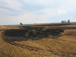 Hasiči evidují další požár kombajnu při žních, opět hořelo i pole s obilím