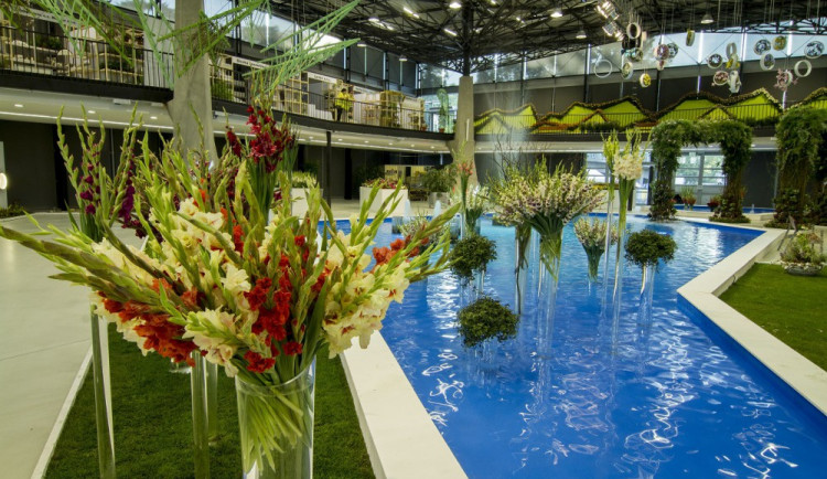 Divoká Malajsie i oslnivé mečíky, báječná letní Flora je opět tady. Soutěžte o lístky!